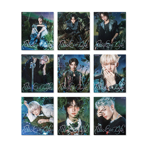 &TEAM - BACK TO LIFE KR 1ST MINI ALBUM ROAR VER