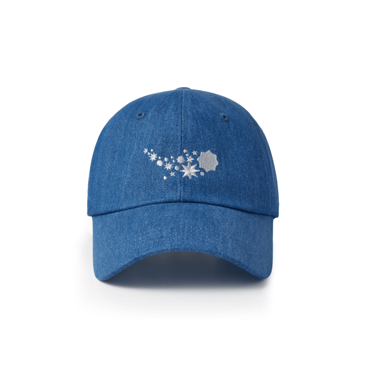 BTS - 2025 BTS FESTA OFFICIAL MD BALL CAP