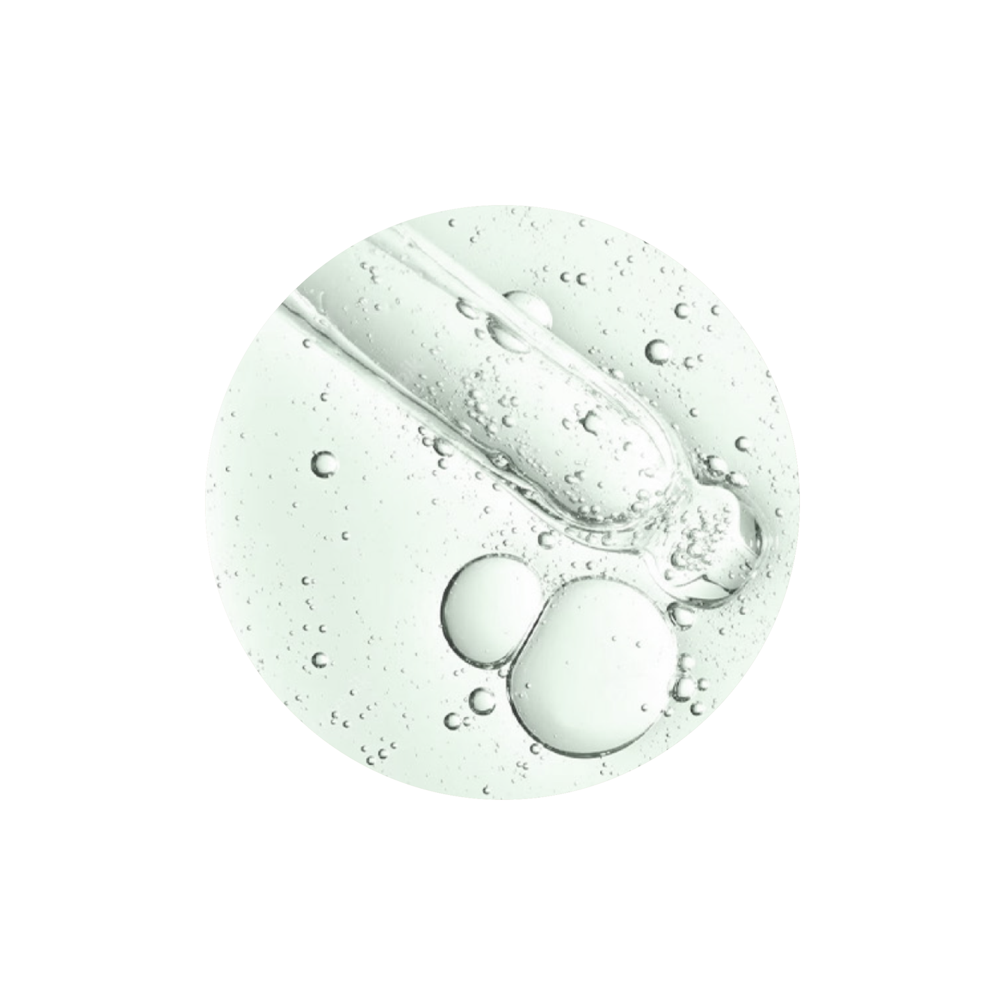 Beauty of Joseon Calming Serum Green Tea + Panthenol