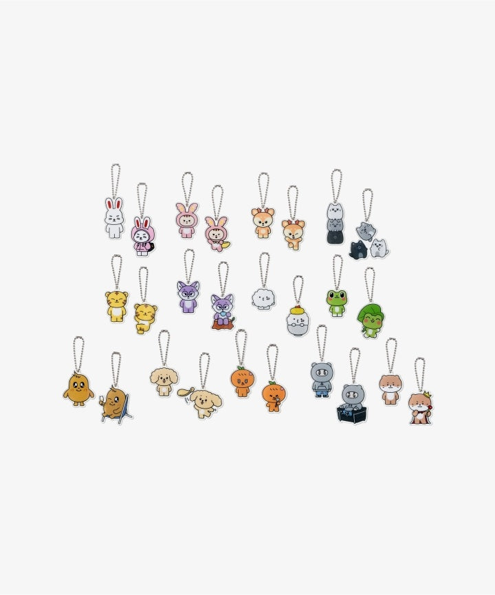 SEVENTEEN - MINITEEN OFFICIAL MD LUCKY DRAW ACRYLIC KEYRING