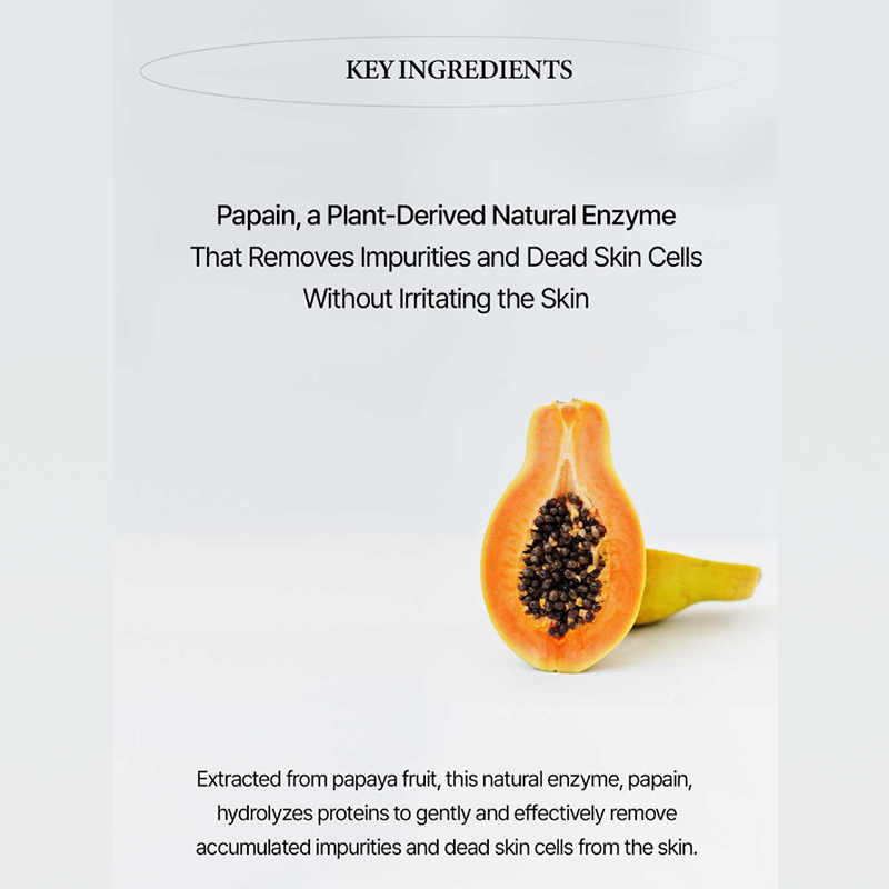 IDENEL PURIFYING ENZYME POWDER CLEANSER