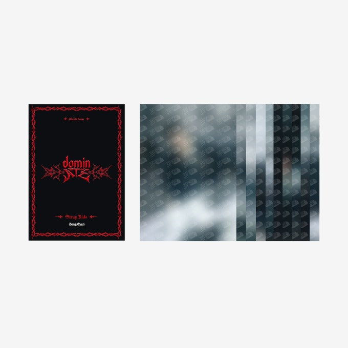 STRAY KIDS - dominATE SEOUL WORLD TOUR OFFICIAL MD POSTCARD BOOK