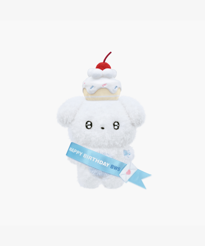 BYEON WOO SEOK - HBD BWS 2024 BWS HBD OFFICIAL MD PROP SET