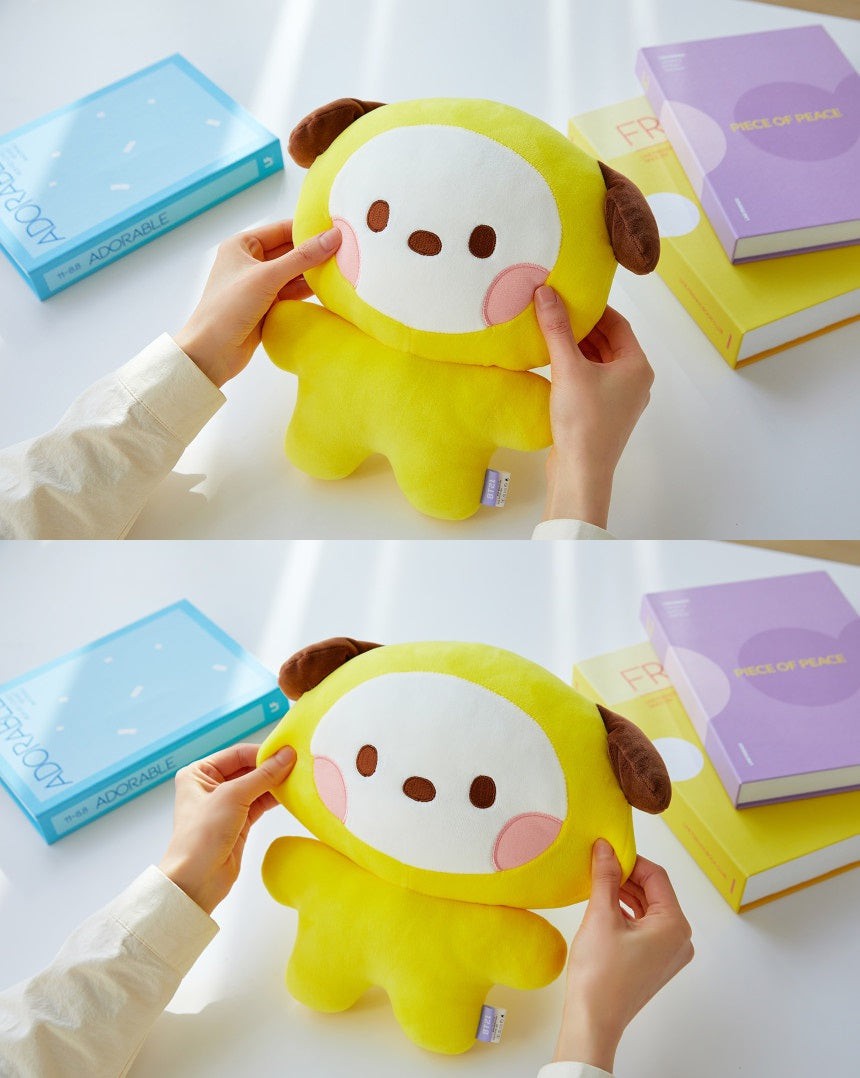 BT21 MININI FLAT CUSHION - MANG