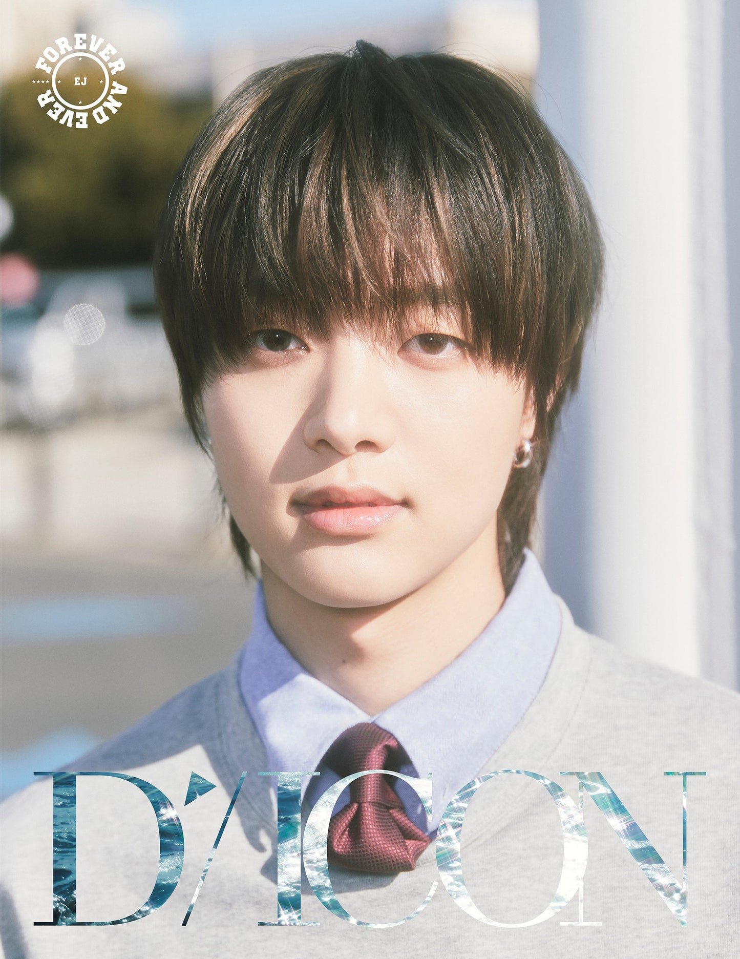 &TEAM - DICON VOLUME N°28 FOREVER AND EVER A Type