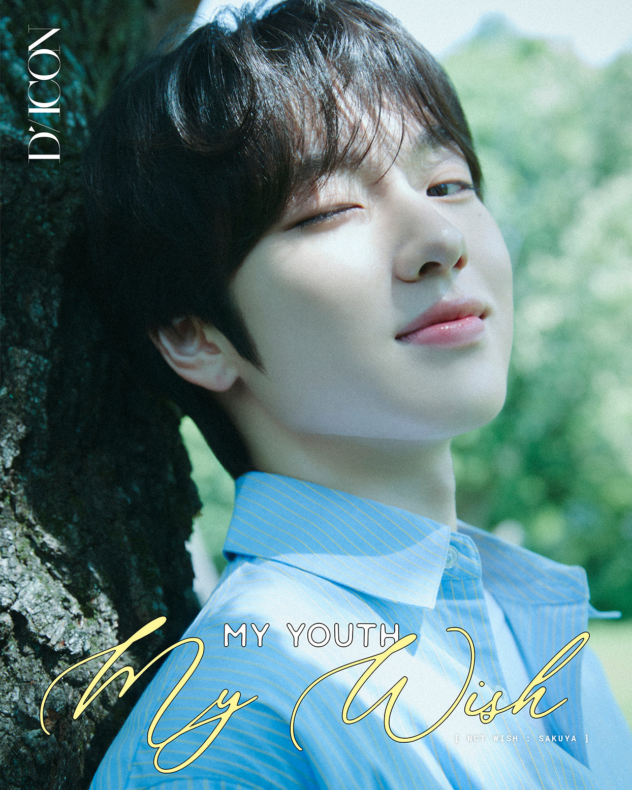 [Pre-Order] DICON VOLUME N°29 NCT WISH : MY YOUTH, MY WISH / TO WISH, TO WAIT
