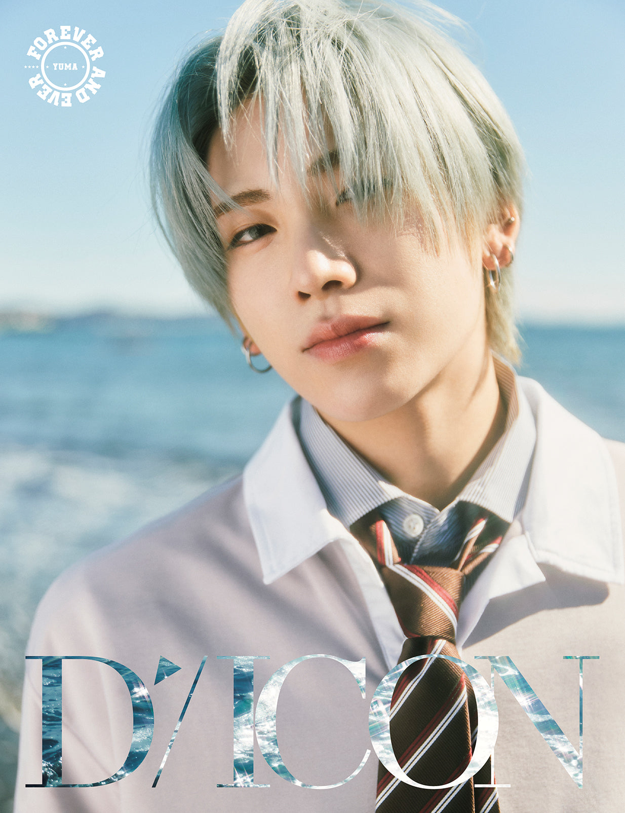 &TEAM - DICON VOLUME N°28 FOREVER AND EVER A Type