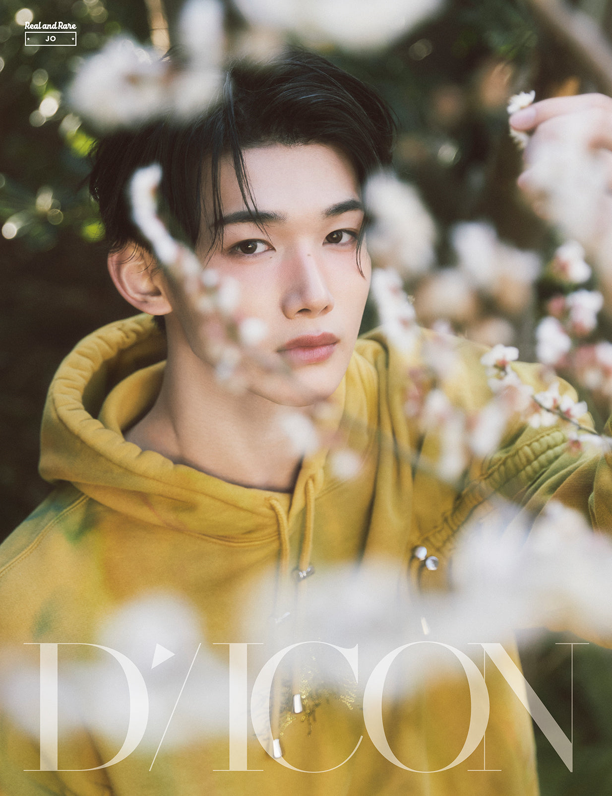 &TEAM - DICON VOLUME N°28 FOREVER AND EVER B Type