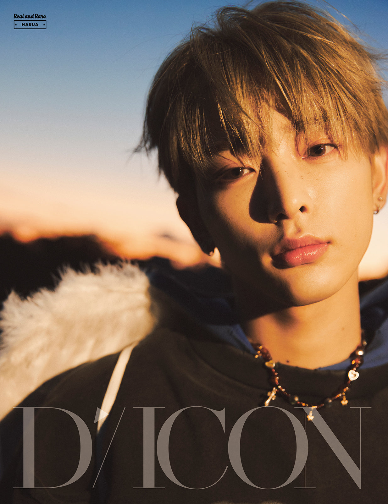 &TEAM - DICON VOLUME N°28 FOREVER AND EVER B Type