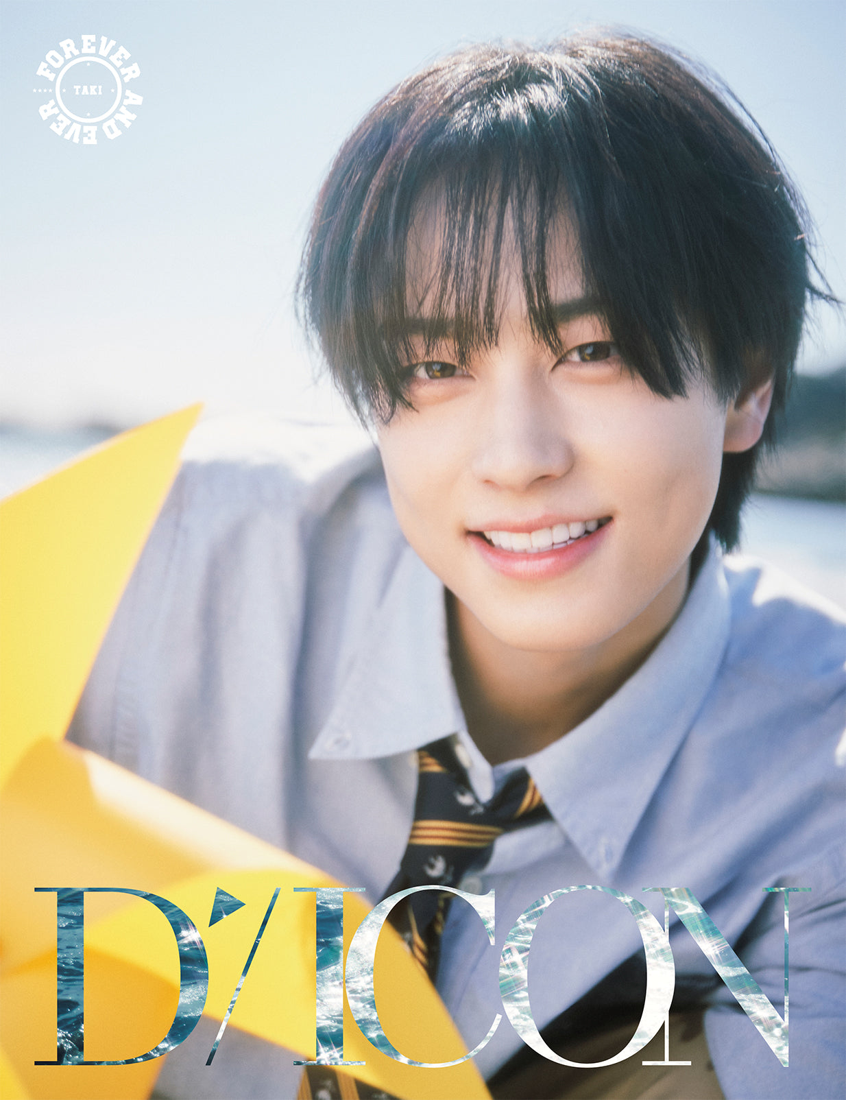 &TEAM - DICON VOLUME N°28 FOREVER AND EVER A Type