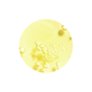 Mary & May Idebenone + Blackberry Complex Serum