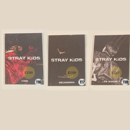 [Mini Photobook] Stray Kids In Life Mini PhotoBook