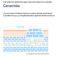 ongredients Cera Calming Serum