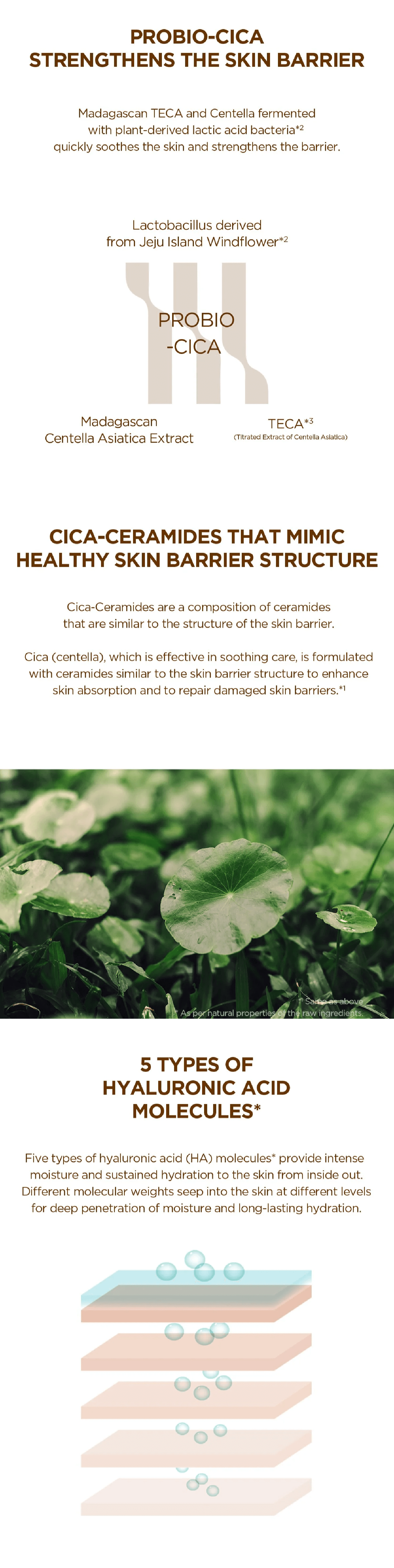 SKIN1004 Madagascar Centella Probio-Cica Essence Toner