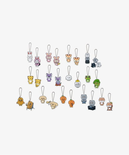 [Pre-Order] SEVENTEEN - MINITEEN OFFICIAL MD LUCKY DRAW ACRYLIC KEYRING