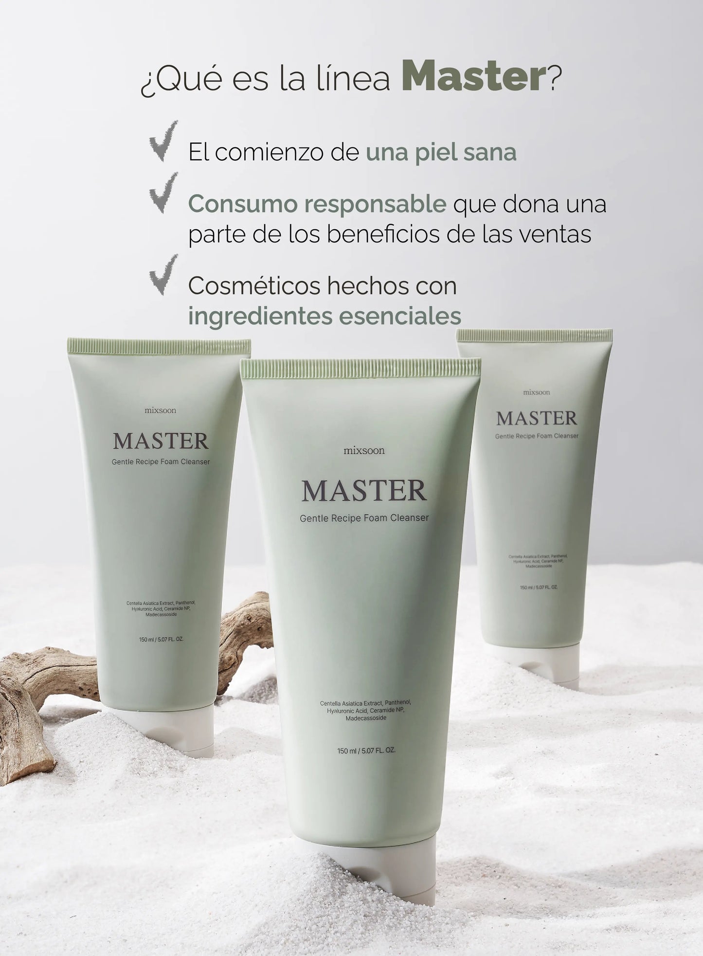 mixsoon Master Gentle Recipe Foam Cleanser