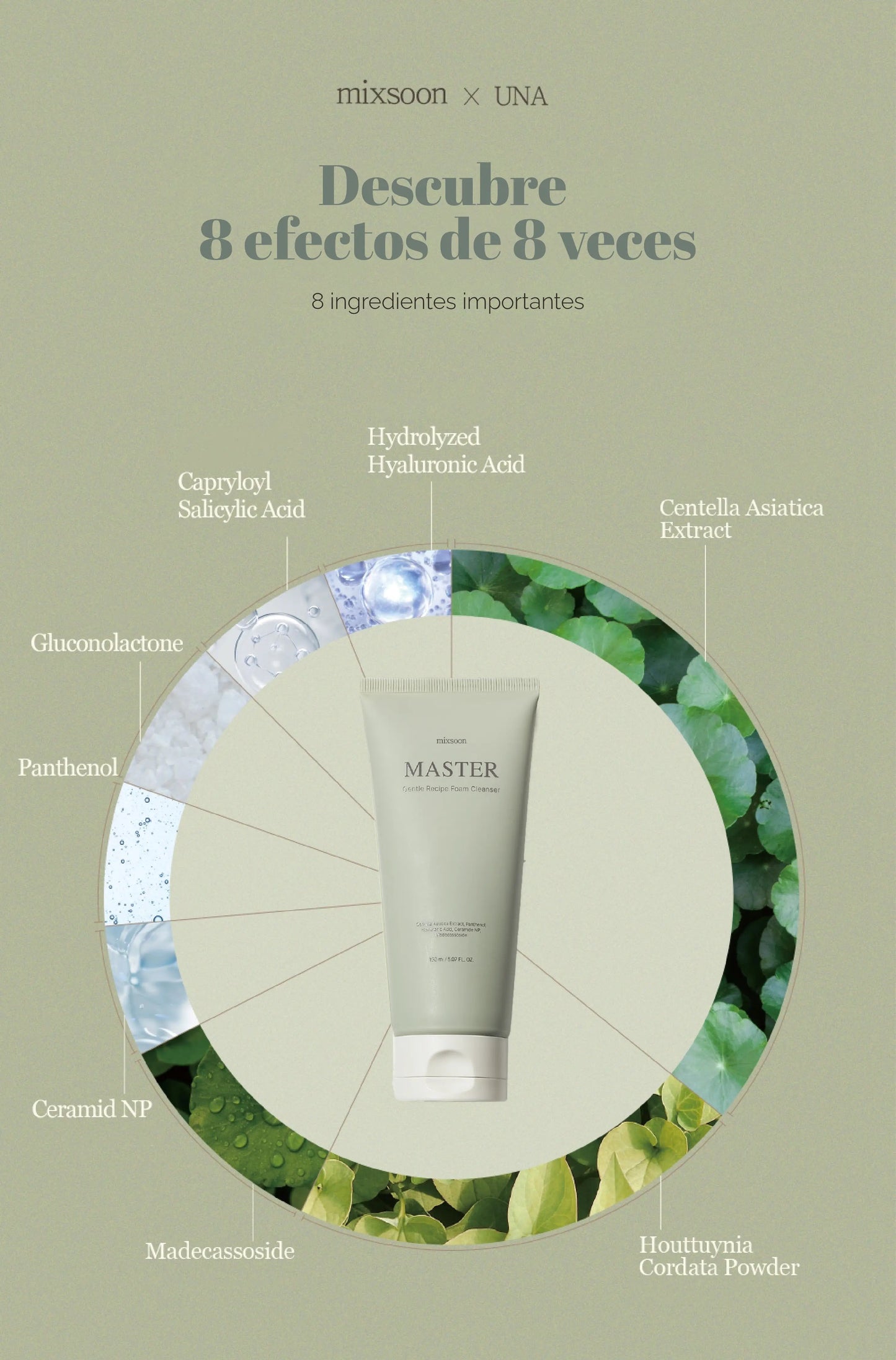 mixsoon Master Gentle Recipe Foam Cleanser