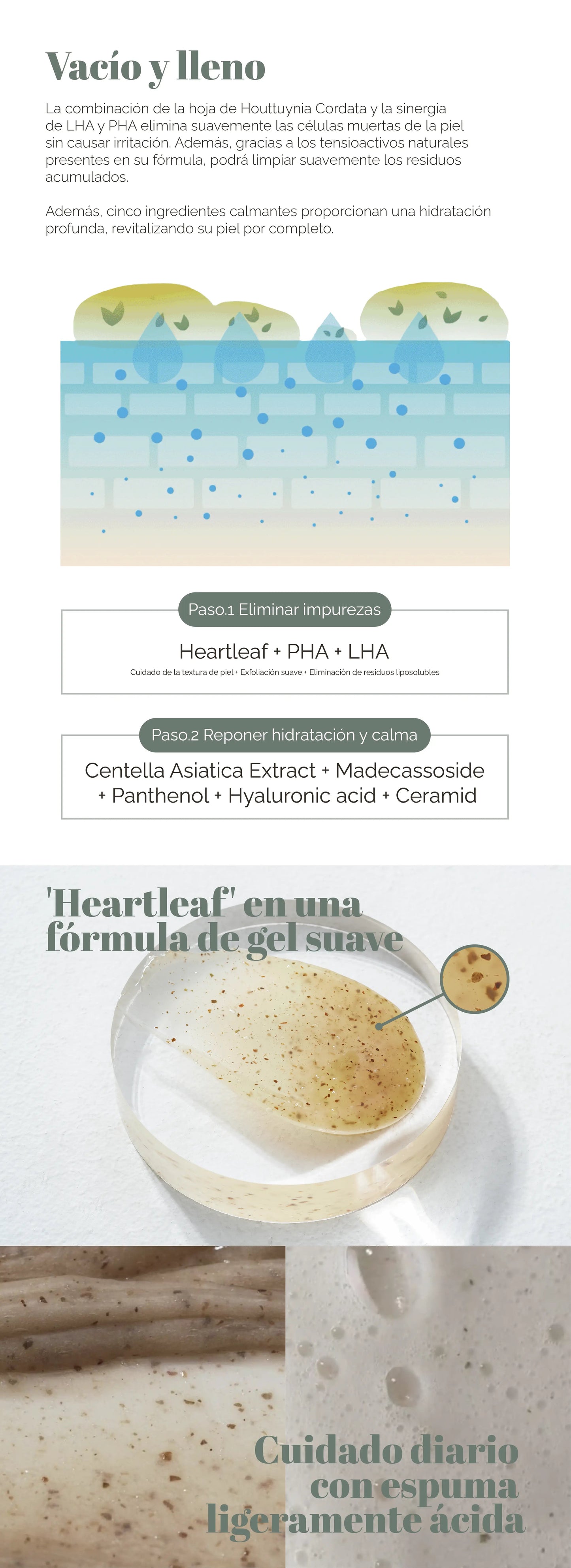 mixsoon Master Gentle Recipe Foam Cleanser
