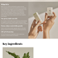 Beauty of Joseon MATTE SUN STICK: MUGWORT + CAMELIA SPF50+