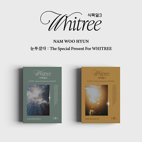 NAM WOOHYUN - THE SPECIAL PRESENT FOR WHITREE PHOTOBOOK