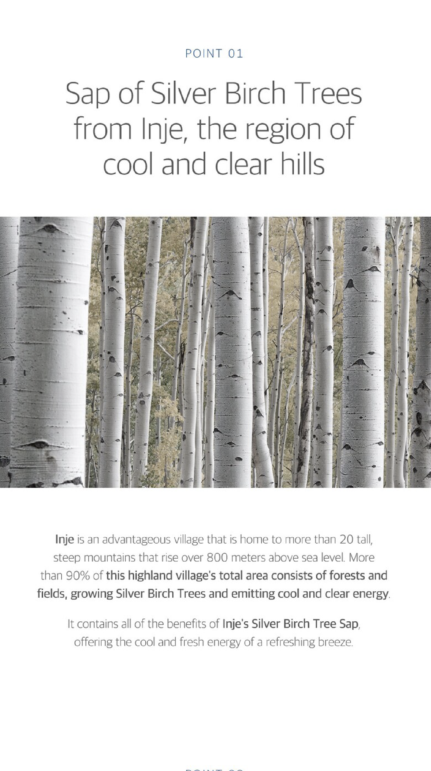 Round Lab Birch Juice Moisturizing Toner