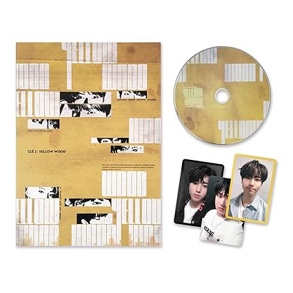 STRAY KIDS - SPECIAL ALBUM - CLE 2 : YELLOW WOOD [NORMAL VER.]