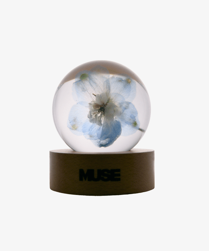 BTS JIMIN - SMERALDO GARDEN MUSE OFFICIAL MD PAPER WEIGHT