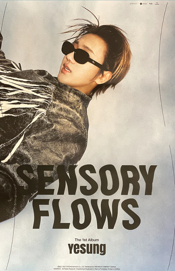 [POSTER#196,197] Yesung - Sensory flows