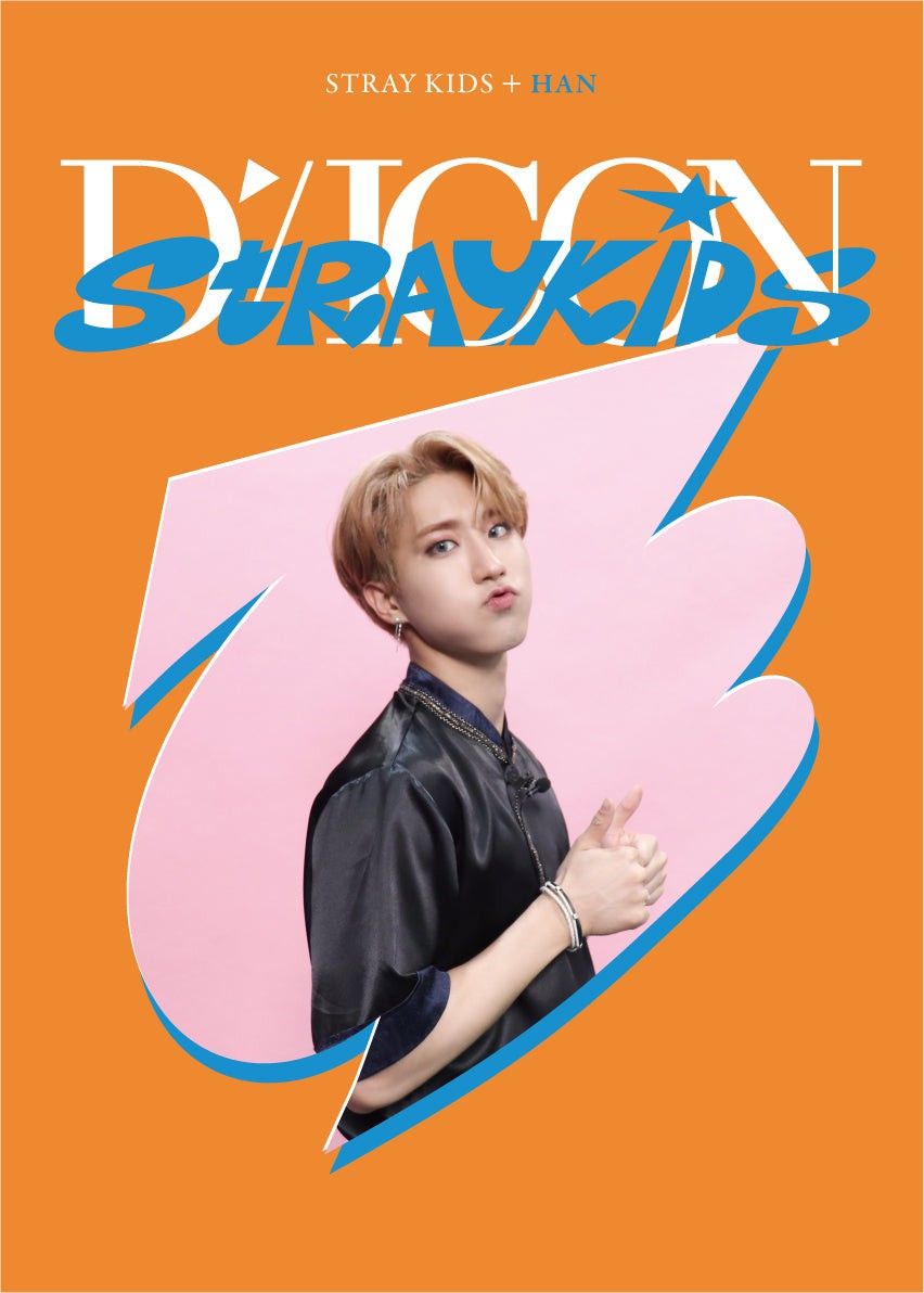 Stray Kids DICON DFESTA MINI EDITION