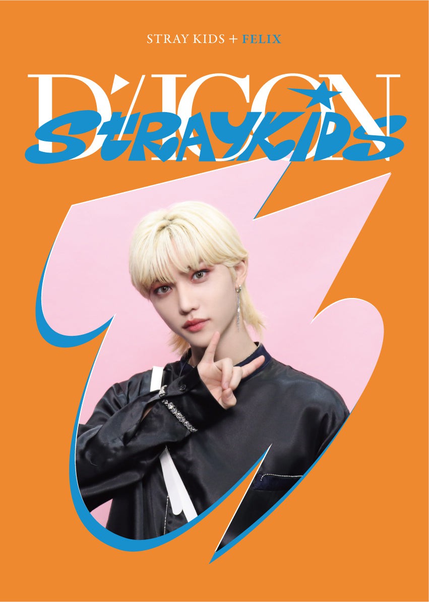 Stray Kids DICON DFESTA MINI EDITION